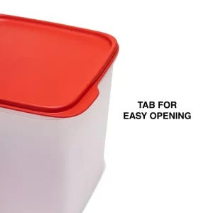 SMART STORER #3 - 3.9L