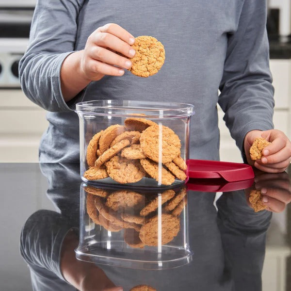 ULTRA CLEAR OVAL - 1L (Set of 2)